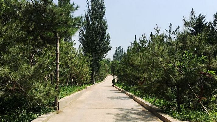 景觀苗木與和林某公園合作